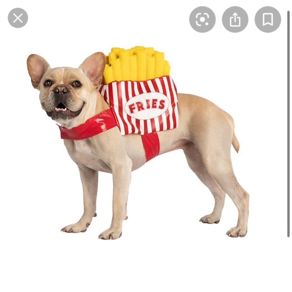 Thrills & Chills French Fry Dog Costume Pet Halloween Fries Outfit Size L